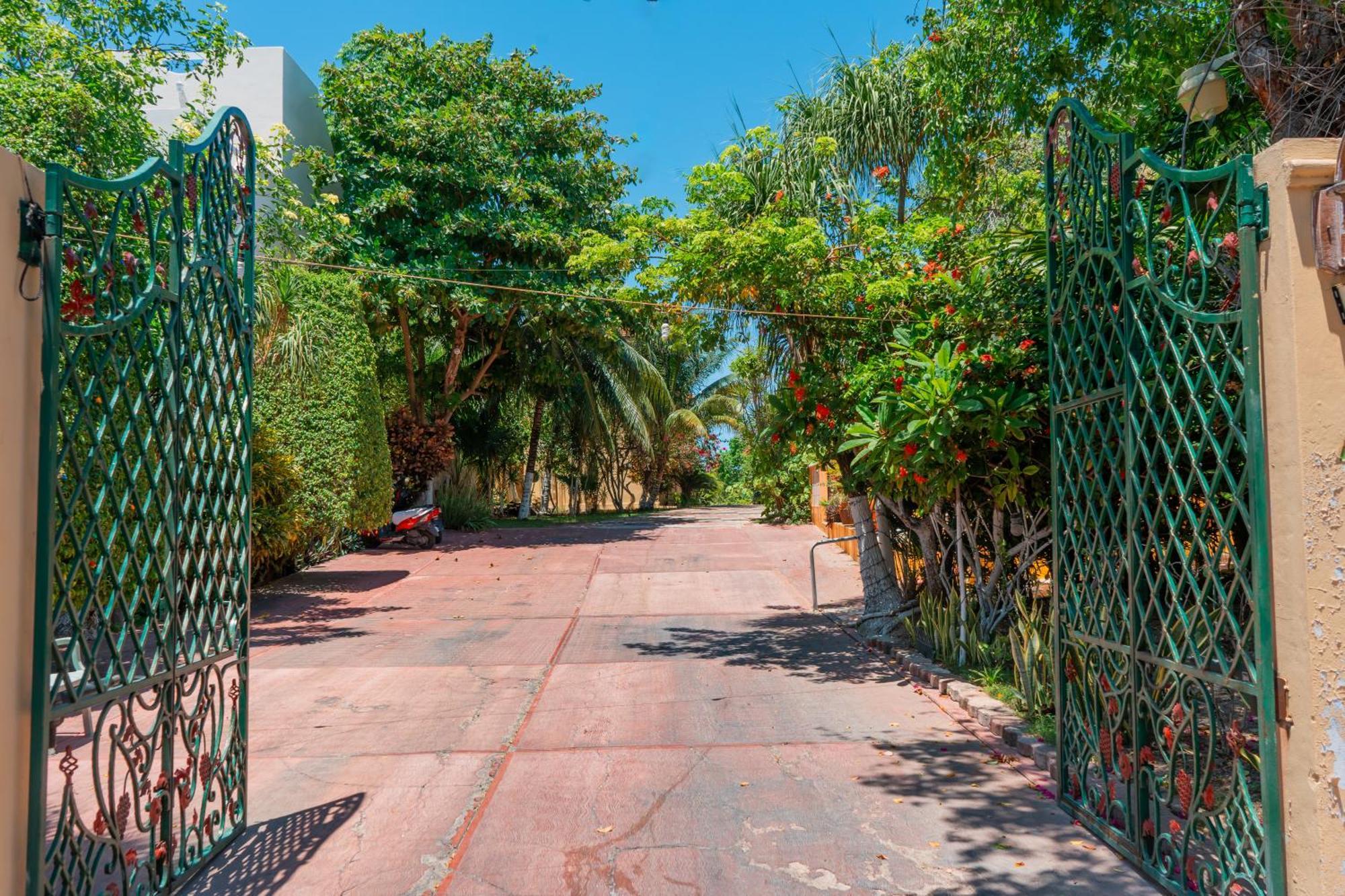 Pajaros Apartamento