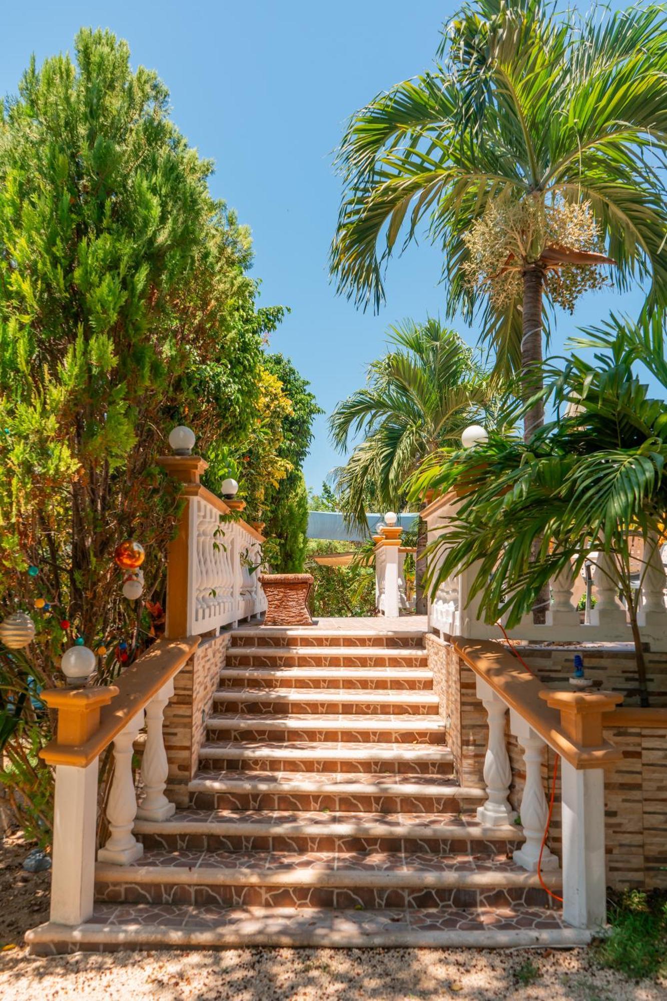 Pajaros Apartamento Isla Mujeres