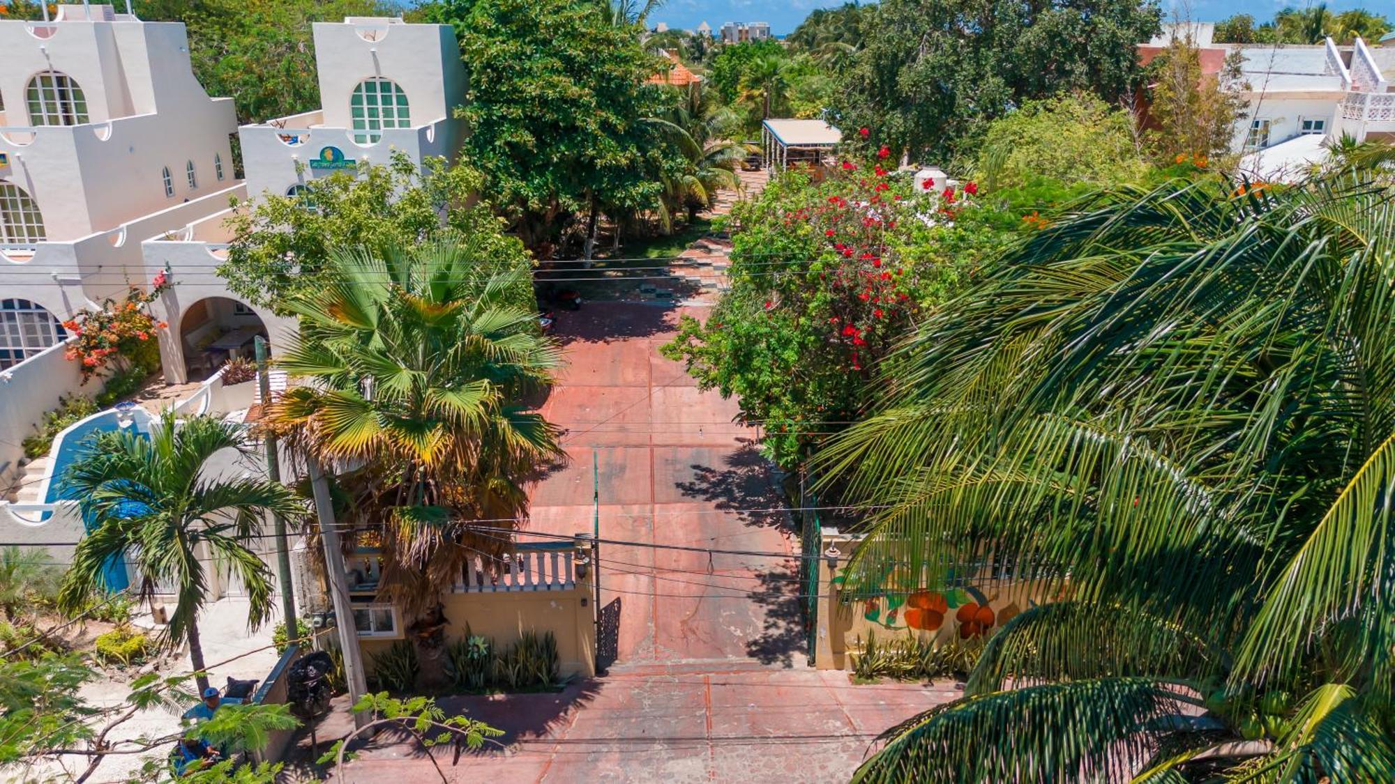 Apartment Pajaros *