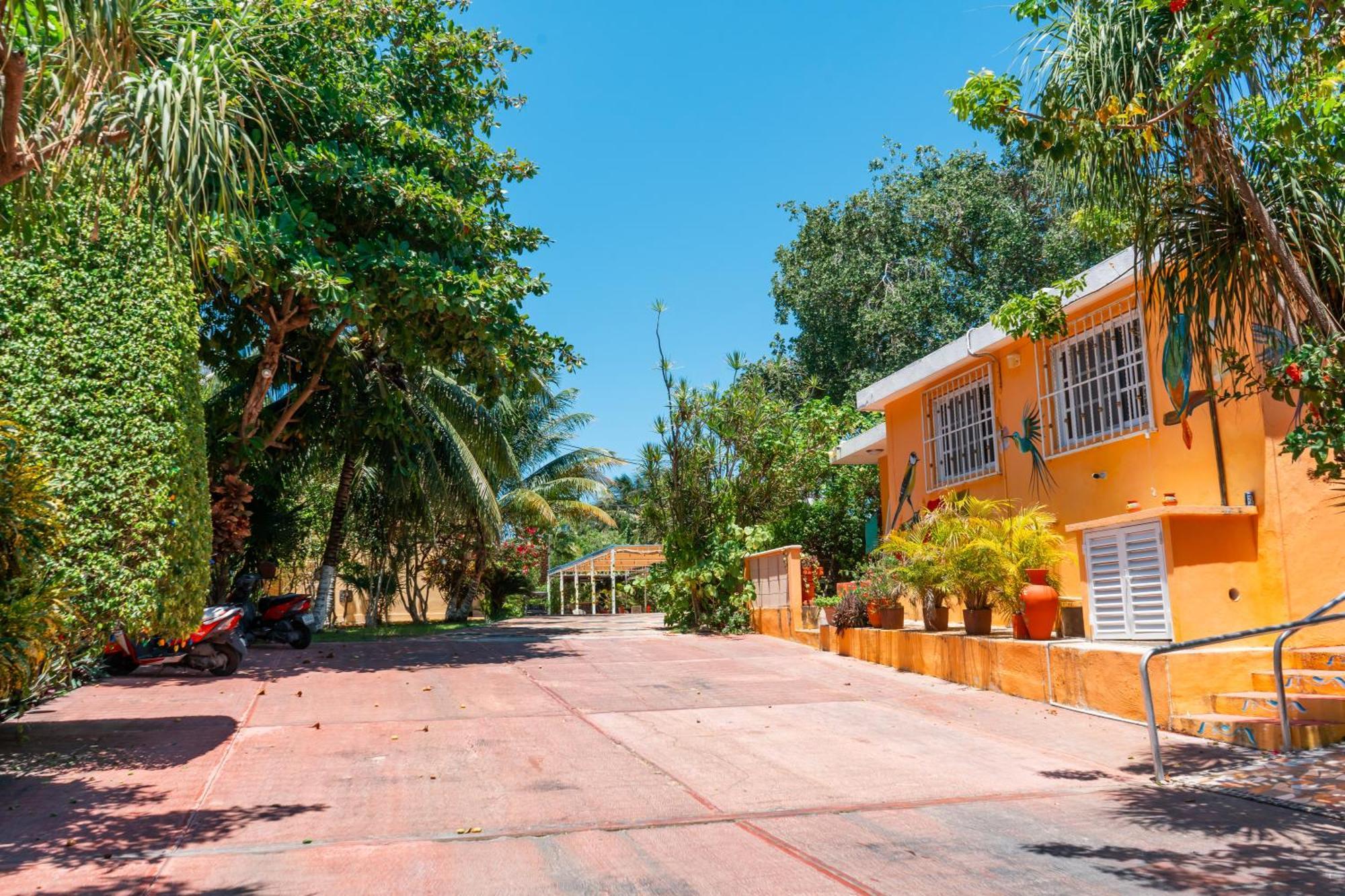 Pajaros Apartment