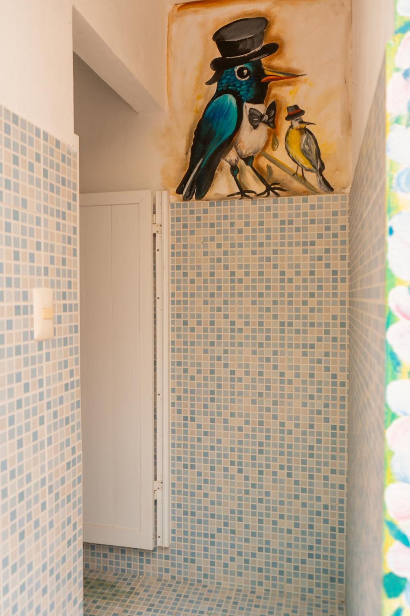 Pajaros * Isla Mujeres