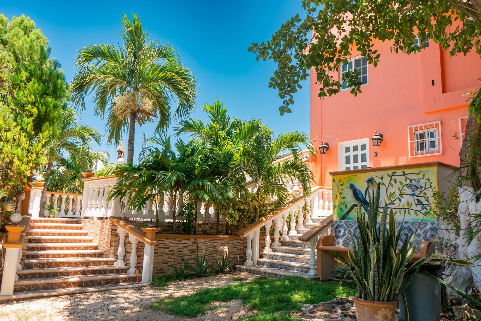 Apartment Pajaros