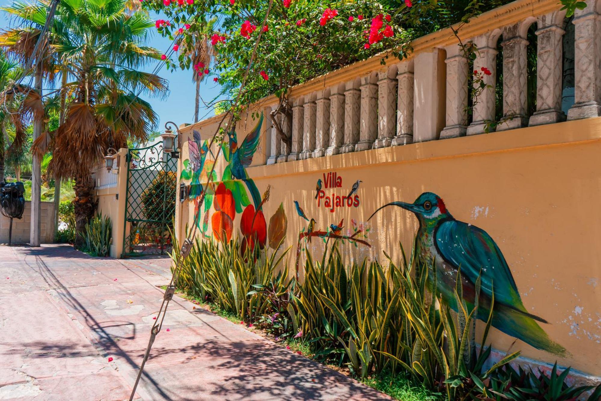 Apartment Pajaros